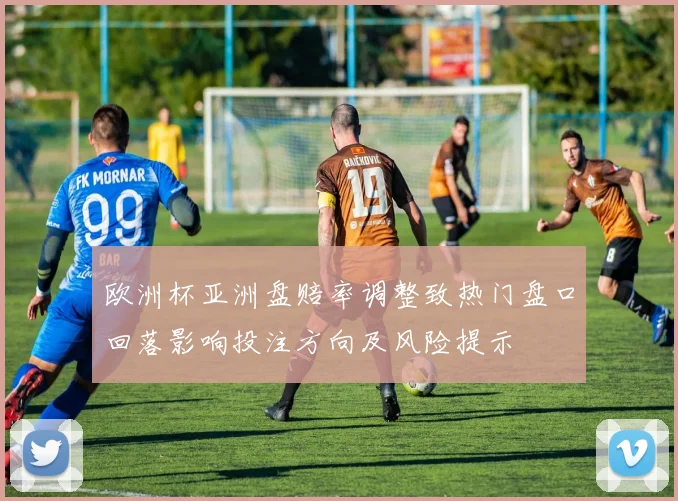 欧洲杯亚洲盘赔率调整致热门盘口回落影响投注方向及风险提示