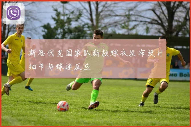 斯洛伐克国家队新款球衣发布设计细节与球迷反应