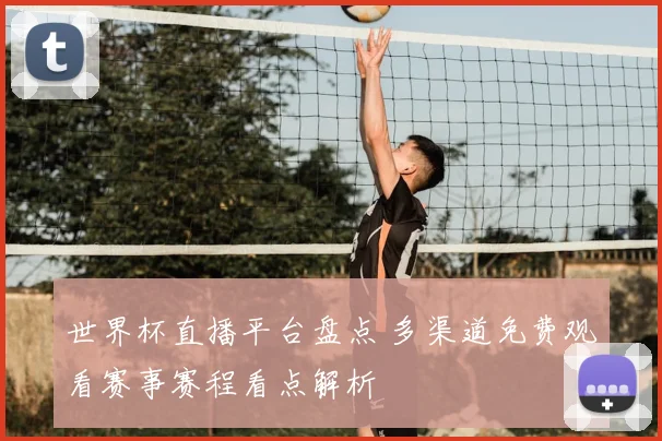 世界杯直播平台盘点 多渠道免费观看赛事赛程看点解析