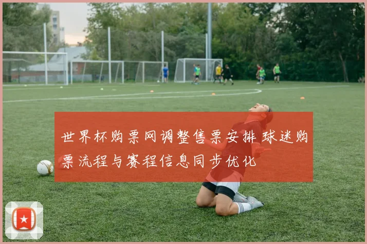 世界杯购票网调整售票安排 球迷购票流程与赛程信息同步优化