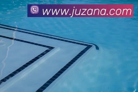 8868体育官网登录方法平台生态图